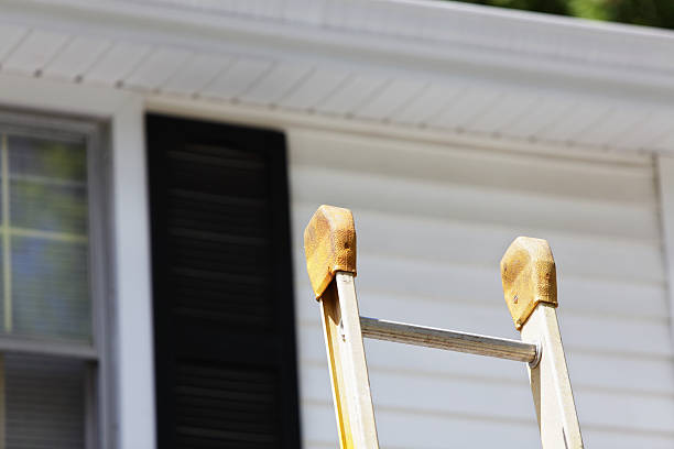 Best Custom Trim and Detailing for Siding  in Volga, SD