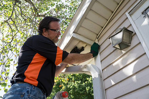 Best Fiber Cement Siding Installation  in Volga, SD